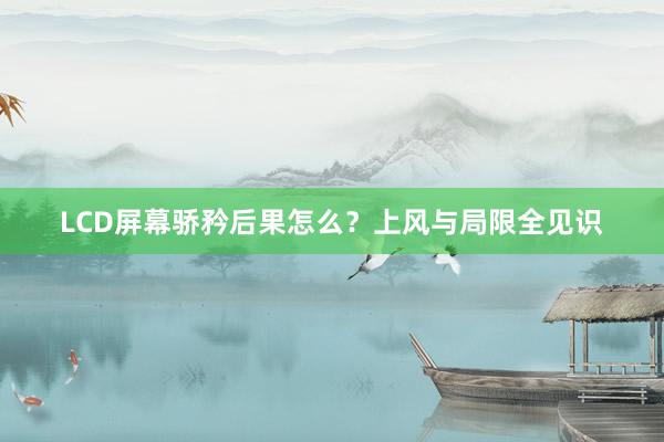 LCD屏幕骄矜后果怎么？上风与局限全见识